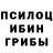 Галлюциногенные грибы Psilocybe Devlet Turkmen