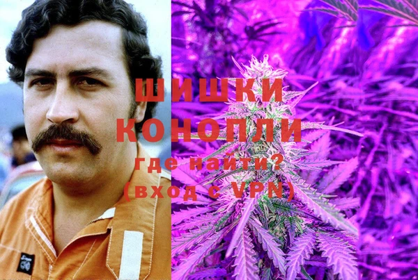 эйфоретик Аркадак