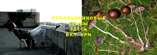 2c-b Армянск